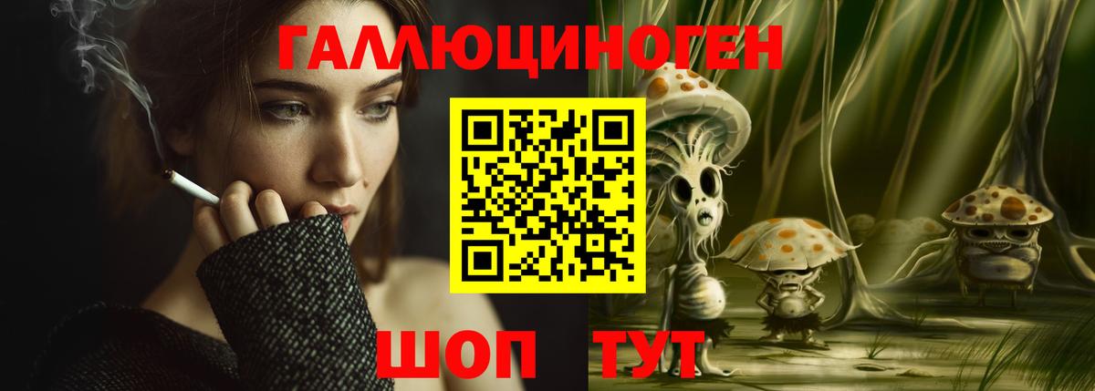 Черкесск  сколько стоит  Вход с VPN  Псилоцибиновые грибы MAGIC MUSHROOMS 